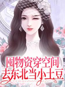 连晓敏小说在线章节免费阅读（囤物资穿空间，去东北当小土豆无弹窗无删减）