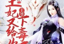 小说《王爷,王妃又给你下毒了》章节免费阅读-红梅文学