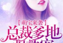 萌宝来袭:总裁爹地强势宠免费阅读,萌宝来袭:总裁爹地强势宠章节在线阅读-红梅文学