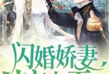 闪婚娇妻宠上天最新章节,闪婚娇妻宠上天章节在线阅读-红梅文学