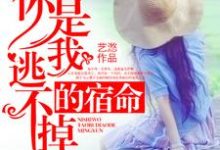 你是我逃不掉的宿命这本小说完结了吗?免费查看最新章节-红梅文学