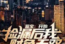 鉴宝:开始捡漏后我财色无双小说有没有完结版在线?-红梅文学