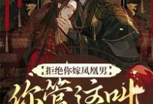 阮云罗是哪本书的主角?拒绝你嫁凤凰男,你管这叫恶人?免费读-红梅文学