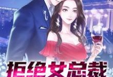 《拒绝女总裁第一次后,我逃不掉了》小说大结局免费试读 叶璃南宫纤云小说-红梅文学