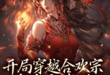 开局穿越合欢宗,被迫当海后!小说完结版章节免费阅读-红梅文学