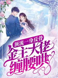 《顶流一身反骨，金主大佬缠腰哄》小说主角向暖沈宴时章节章节免费在线阅读