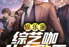 完结版《娱乐圈:综艺咖化身歌王》在线免费阅读-红梅文学