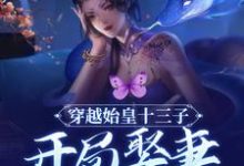 穿越始皇十三子,开局娶妻少司命(赢扶澈少司命)在线免费阅读-红梅文学