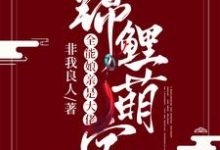 锦鲤萌宝:全能娘亲是大佬这本小说完结了吗?免费查看最新章节-红梅文学
