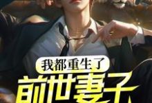 徐凌苏小柔是哪本书的主角?寻找我都重生了,前世妻子才说爱我?免费阅读-红梅文学