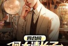 四合院:何大清长子抗美援朝回来了小说,四合院:何大清长子抗美援朝回来了在线阅读-红梅文学