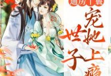 主角叫海棠盛怀瑾小说通房丫鬟,世子宠她上瘾章节免费阅读-红梅文学