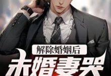 解除婚姻后,未婚妻哭着求复合小说有没有完结版在线?-红梅文学