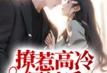 撩惹高冷男神后，他日日扮乖小说的免费阅读版本在哪里可以找到？-红梅文学