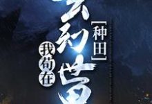 我苟在玄幻世界种田步凡,我苟在玄幻世界种田在线无弹窗阅读-红梅文学
