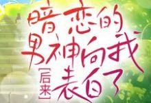 《后来,暗恋的男神向我表白了》全集免费在线阅读( 沈清林承洲)-红梅文学