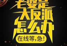 在线寻找顾尘的小说,老婆是大反派怎么办,在线等,急!免费阅读-红梅文学