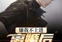 主角叫周国淮小说嫌我不上进?离婚后我开挂了章节免费阅读-红梅文学