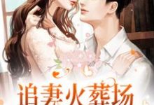 小说《追妻火葬场!狗男人被虐惨啦》在线章节阅读-红梅文学