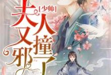 已完结小说《少帅,夫人又撞邪了》在线章节阅读-红梅文学