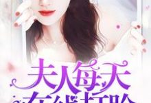 夫人每天在线打脸小说最新更新在哪里?免费在线看-红梅文学