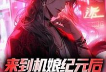 来到机娘纪元后,我杀疯了小说,来到机娘纪元后,我杀疯了苏年星辰-红梅文学