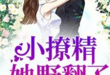 在线寻找豪门团宠:小撩精她野翻了小说的无删减版本-红梅文学