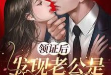 免费阅读霍铭泽沈莫笛为主角的小说,领证后,发现老公是隐藏大佬在线看-红梅文学