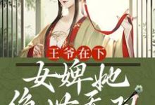 已完结小说《王爷在下:女婢她绝世无双》在线章节阅读-红梅文学