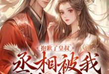 抱歉了皇叔，丞相被我撬走了最新章节，抱歉了皇叔，丞相被我撬走了免费阅读-红梅文学