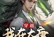 穿越:我在大唐当闲王小说有没有完整的免费版本在线阅读?-红梅文学