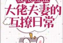 极限拉扯:大佬夫妻的互撩日常小说全文哪里可以免费看?-红梅文学