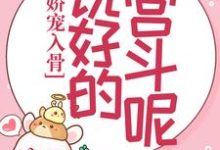 娇宠入骨：说好的宫斗呢？小说有没有完结版在线？-红梅文学