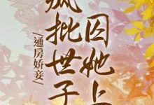 主角苏婳靳珩小说通房娇妾,疯批世子囚她上瘾免费阅读-红梅文学