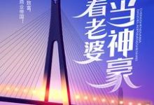 主人公叫叶辰陈一诺的小说哪里免费看-红梅文学