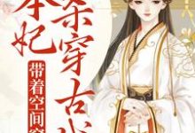 带着空间穿越,本妃杀穿古代小说全文哪里可以免费看?-红梅文学