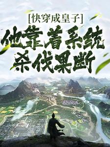 快穿成皇子，他靠着系统杀伐果断最新章节，快穿成皇子，他靠着系统杀伐果断免费阅读