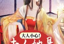 求大人小心!夫人她是娇媚祸水小说的全文免费阅读链接-红梅文学