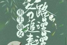 重生嫡女:王爷追妻路漫漫小说,重生嫡女:王爷追妻路漫漫章节在线阅读-红梅文学