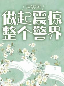 从实习做起震惊整个警界小说完结了吗？在哪里可以免费读到？
