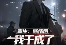 寻找重生:断情后,我干成了商业大亨小说的最新更新章节-红梅文学