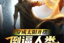 穿成太阳开摆,倒逼人类逃离太阳系主角秦墨小说完结版章节在线阅读-红梅文学