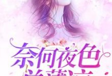 完结版《奈何夜色总薄凉》章节目录在线阅读-红梅文学