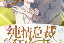 苗一夕狄高阳小说叫什么(纯情总裁狂宠妻免费阅读)-红梅文学