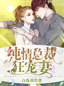 苗一夕狄高阳小说叫什么（纯情总裁狂宠妻免费阅读）