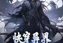 主角林书小说完结版在线阅读,快穿异界:我的武祖系统免费看-红梅文学