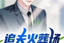 追夫火葬场！弟弟你别逃小说阅读，追夫火葬场！弟弟你别逃完结版-红梅文学