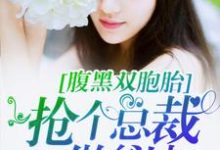 腹黑双胞胎：抢个总裁做爹地小说，腹黑双胞胎：抢个总裁做爹地免费阅读-红梅文学