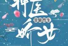 已完结小说《神医娇女涅槃而生》在线章节阅读-红梅文学