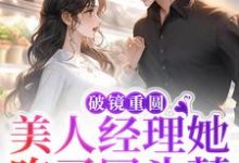 主人公叫池澜陆枕风的小说哪里免费看-红梅文学